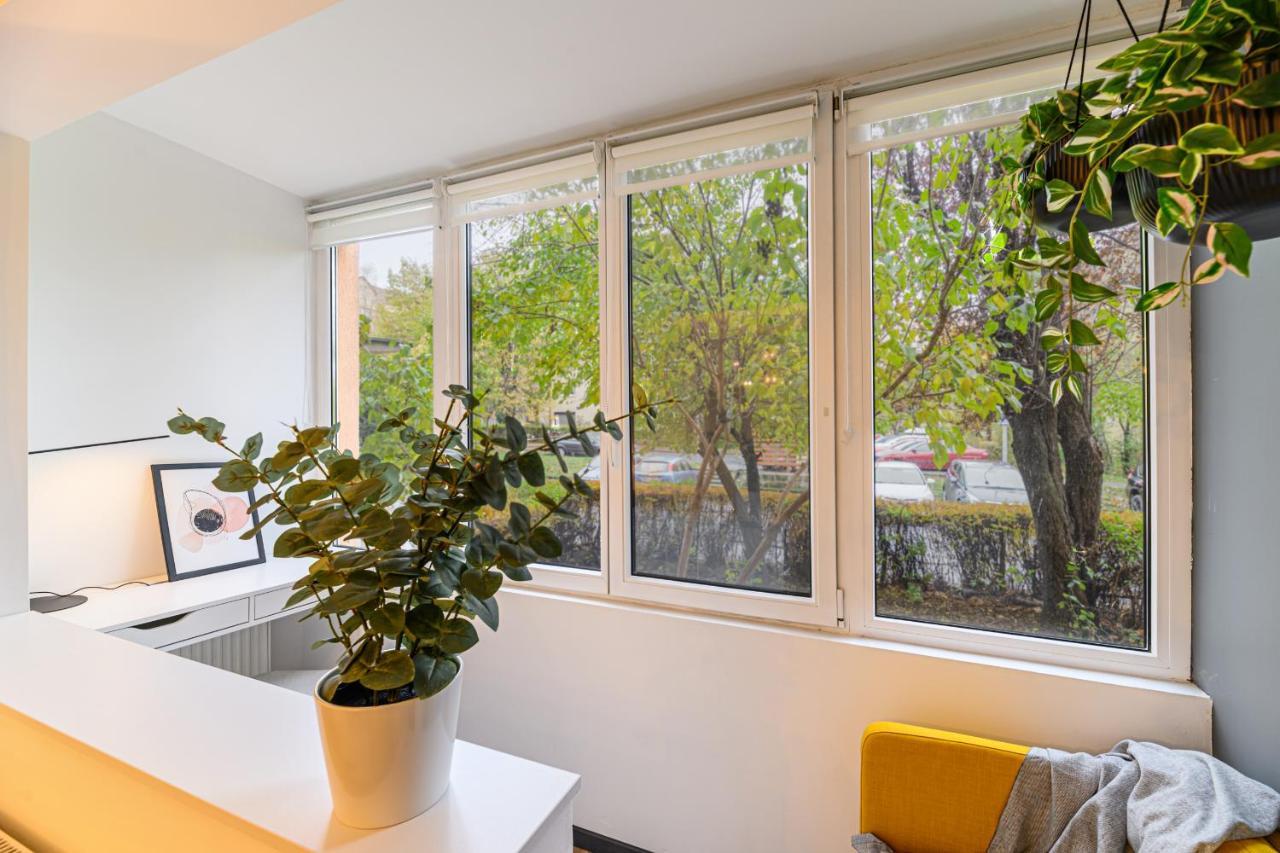 Travelers Hideout - Central Apartment Braşov Buitenkant foto